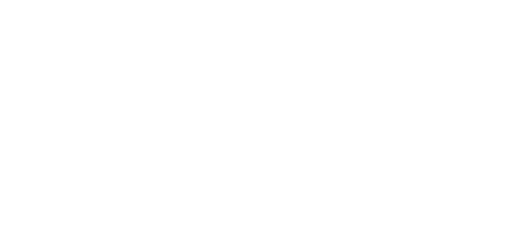 Turzem Logo